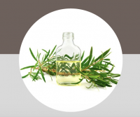 100% Cajeput Oil (Essential Oil)