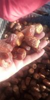 Dried dates &amp; Semi dried dates