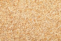 Sesame Seed,Sesame, Seed, Plant Seeds