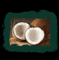 Coconut