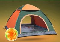 Full Automatic Camping Tent