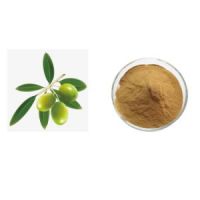 Olive fruit dry extract