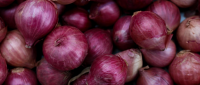 INDIAN FRESH Onions