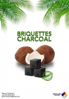 Briquettes &amp;amp; BBQ Coconut Shell Charcoal