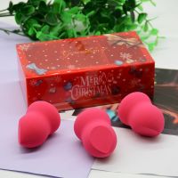 2021 Best Christmas Gifts for Girlfriend Makeup Sponge Set 3 Pieces Soft cosmetics Applicators blender Sponges