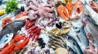 Seafood, Fishery/Marine Products, Shrimp, Tuna, Squid, Crab, Seaweed and Tilapia