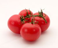 Tomato Pulp Puree