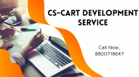 CS cart development services