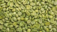 Indonesia Arabica Green Beans