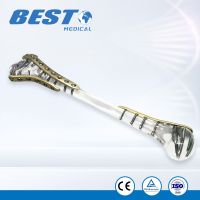 3D Printed Transparent Humeral Bone Model with Locking Plates