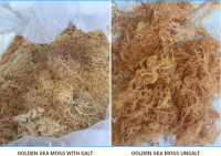 Best Selling 2022 High Quality Seamoss For Supports Health Made From Organic Seamoss In Vietnam