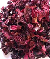 hibiscus for import and export