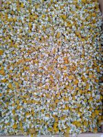 chamomile for import and export