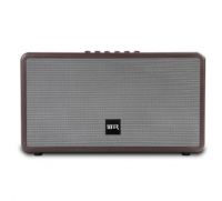 Bluetooth live Speaker dual portable speaker for indoor party