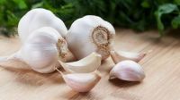 Dry garlic 