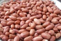 Red Kidney Beans