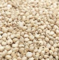 Natural White Sorghum Millet