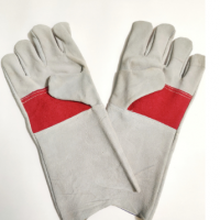Chrome Leather Gloves
