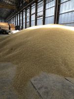Barley Ukraine origin containers shipment