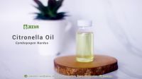 Citronella Eesential Oil