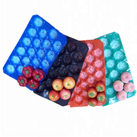 Protective PP Fruit Tray Liner Plastic Molded Pulp Tray Packaging
