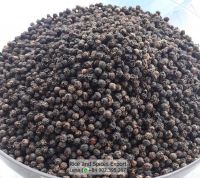 Black Pepper 500GL 550GL Cleaned from Vietnam
