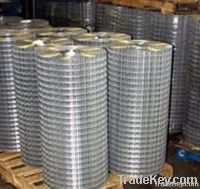 Hot dipped galvanized wire mesh/Hot dipped zinc coated wire mesh