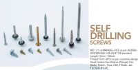 Self Drilling Screw