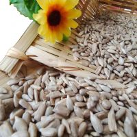 Organic natural Sunflower seeds kernels for bakery and confectionary For Sale