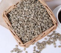 Wholesale Natural dried raw Coffee beans unprocessed Coffea arabica seeds