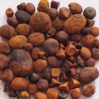 Ox/Cow Bladder Gallstones 100% Whole Stones AVAILABLE
