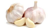 Fresh garlic