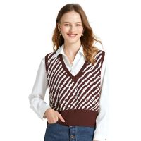 2021 Fall winter Women vest Brief paragraph V-neck knit sweater sleeveless coat Leopard grain jacqua