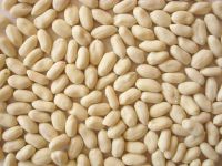 Sell Blanched Peanut Kernels Virginia Type