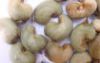 Sell Cheap Cashew Nut | Wholesale Cashew Nut | Discounted Cashew Nut | Bulk Cashew Nut | Cashew Nut Suppliers | Cashew Nut Exporters | Cashew Nut Manufacturers | Cashew Nut Buyer | Import Cashew Nut | Cashew Nut Importers | Cashew Nut Buyers