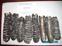 Sell Dried sea cucumber