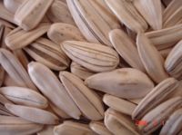 Sell New Crop Sunflower Seeds Suppliers | Sunflower Seed Exporters, | Sunflower Black Seed  | Striped Black Seed | Flowers Seed | Sunflower Kernels