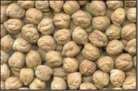 Sell chickpeas suppliers,chick pea exporters,chickpea traders,kabuli chickpea buyers,desi chick peas wholesalers,low price chickpea,best buy chick peas,buy chickpea