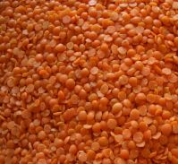 Sell Red Split Lentils