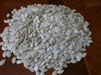 Sell shine skin pumpkin seeds