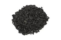 Sell New Crop Sunflower Seeds Suppliers | Sunflower Seed Exporters, | Sunflower Black Seed  | Striped Black Seed | Flowers Seed | Sunflower Kernels