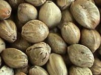 Sell hempseeds, flax seeds, perilla seeds, millet