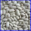 Sell white kidney beans