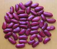 Sell dark red kidney beans