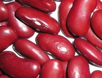 Sell Red kidney beans&dark red kidney beans&light speckled kidney beans