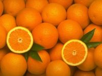 Sell Citrus Fruits