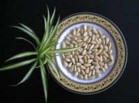 Sell russian fresh pine nuts kernels