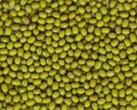 Sell green mung beans