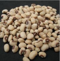 Sell Burkina Faso Cowpeas