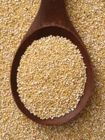 Sell Organic Quinoa Seed
